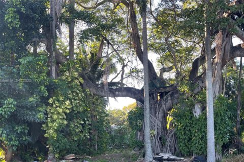 Villa ou maison à vendre à Dania Beach, Floride: 4 chambres, 95.04 m2 № 1994970 - photo 14