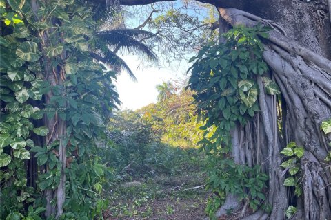 Villa ou maison à vendre à Dania Beach, Floride: 4 chambres, 95.04 m2 № 1994970 - photo 16