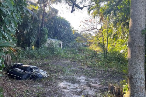 Villa ou maison à vendre à Dania Beach, Floride: 4 chambres, 95.04 m2 № 1994970 - photo 2