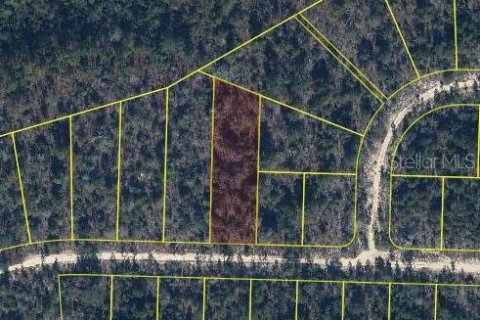 Land in Chipley, Florida № 2162681 - photo 2