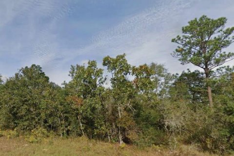 Land in Chipley, Florida № 2162681