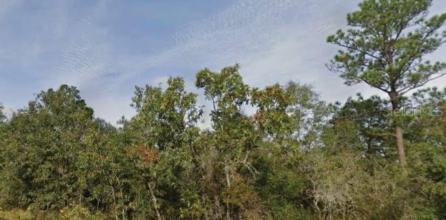 Land in Chipley, Florida № 2162681