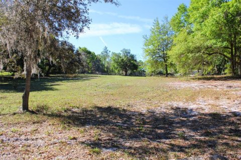 Land in Dade City, Florida № 1510747 - photo 11
