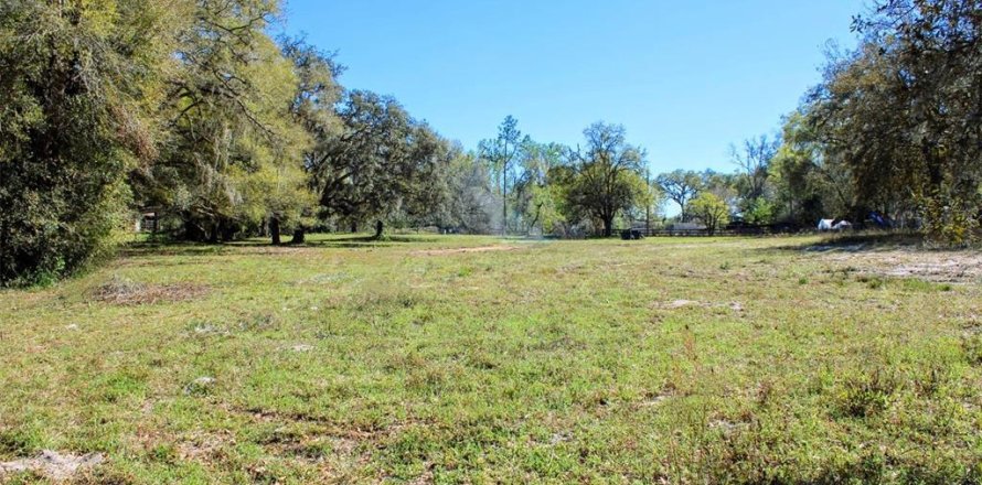 Land in Dade City, Florida № 1510747