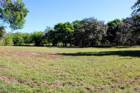 Land in Dade City, Florida № 1510747 - photo 8