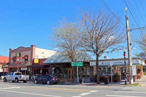 Land in Dade City, Florida № 1510747 - photo 14