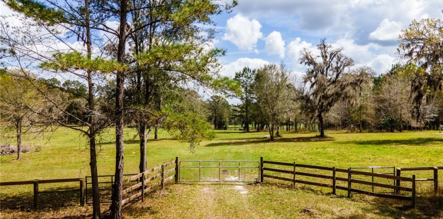 Terreno en Williston, Florida № 1547534