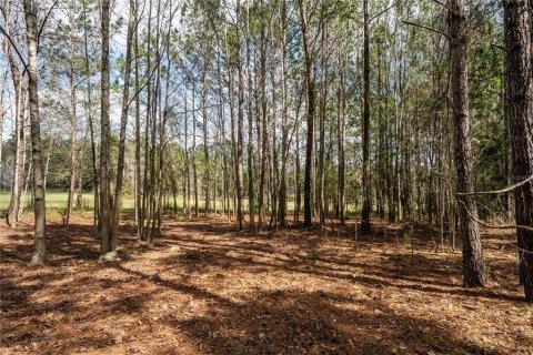 Terreno en venta en Williston, Florida № 1547534 - foto 20