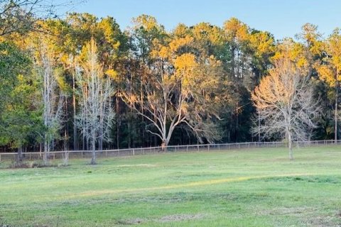 Terreno en venta en Williston, Florida № 1547534 - foto 14