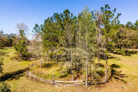Terreno en venta en Williston, Florida № 1547534 - foto 21