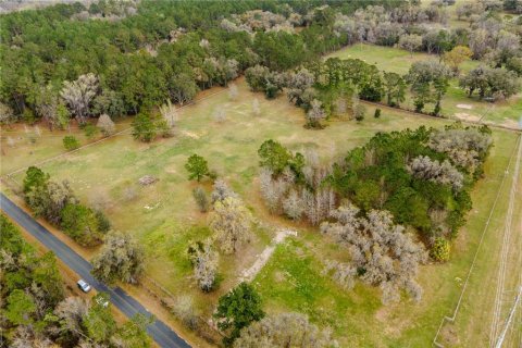 Land in Williston, Florida № 1547534 - photo 2