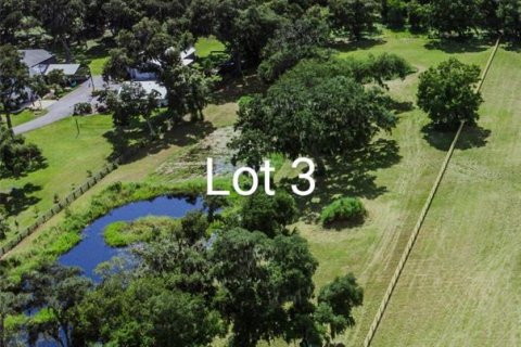 Terreno en venta en Plant City, Florida № 1340139 - foto 6