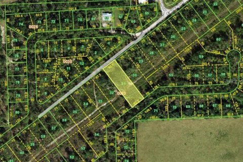 Land in Punta Gorda, Florida № 2122168