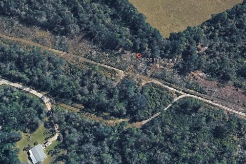 Terreno en venta en Punta Gorda, Florida № 2122168 - foto 6