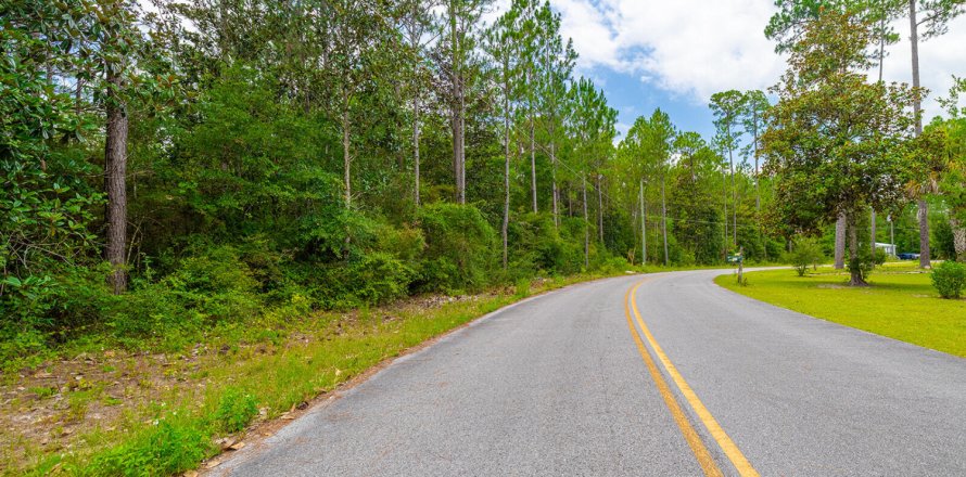 Land in De Funiak Springs, Florida № 589957