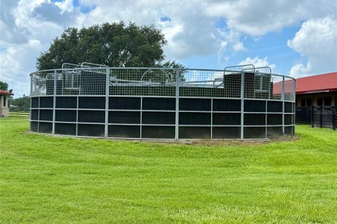 Studio in Morriston, Florida № 1837318 - photo 20