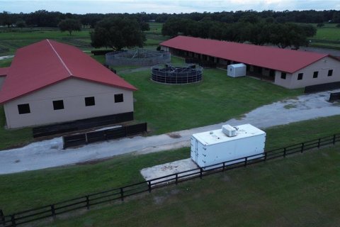 Studio in Morriston, Florida № 1837318 - photo 12