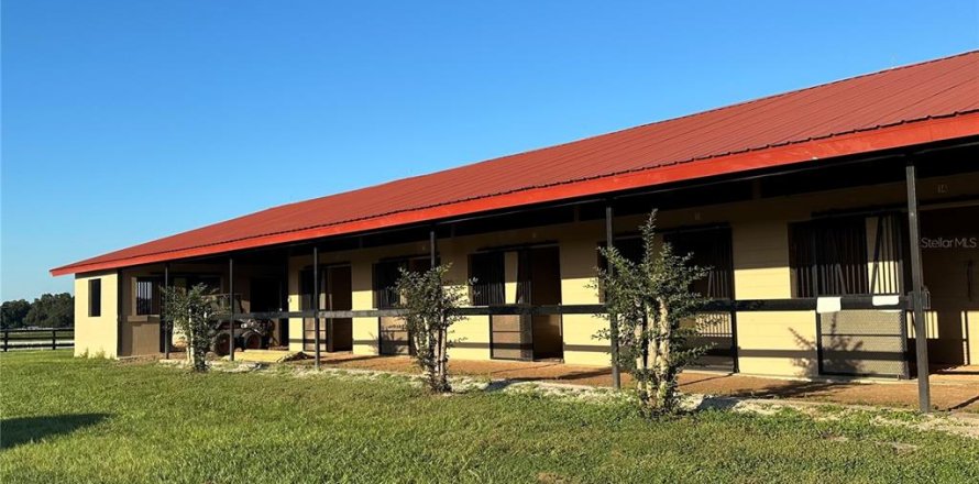 Studio in Morriston, Florida № 1837318