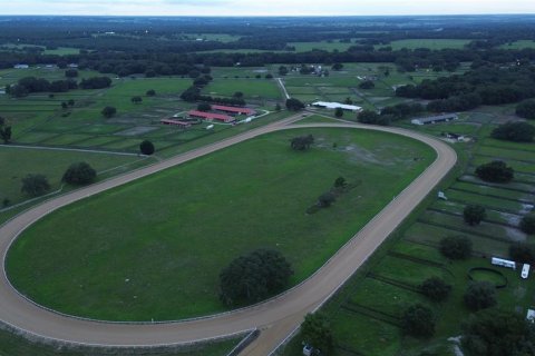 Studio in Morriston, Florida № 1837318 - photo 15