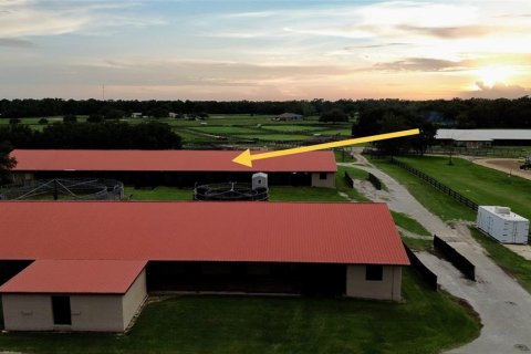 Studio in Morriston, Florida № 1837318 - photo 7