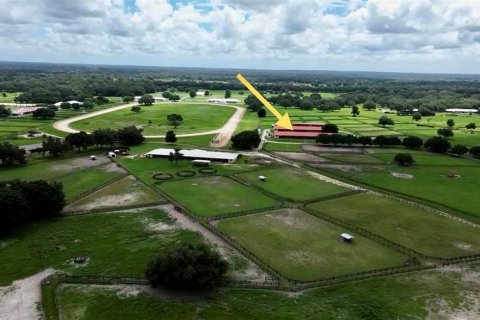 Studio in Morriston, Florida № 1837318 - photo 19