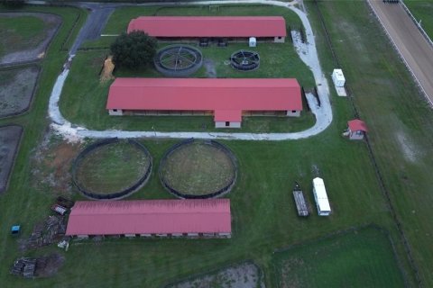 Studio in Morriston, Florida № 1837318 - photo 10