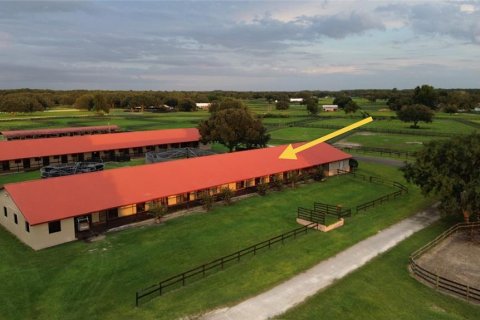 Studio in Morriston, Florida № 1837318 - photo 5