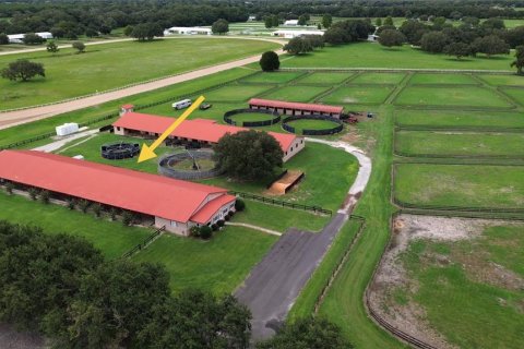 Studio in Morriston, Florida № 1837318 - photo 6