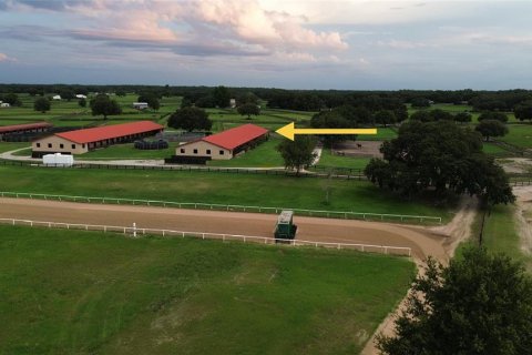 Studio in Morriston, Florida № 1837318 - photo 13