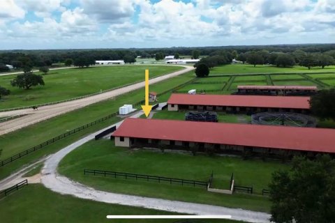 Studio in Morriston, Florida № 1837318 - photo 8