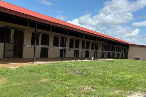 Studio in Morriston, Florida № 1837318 - photo 2