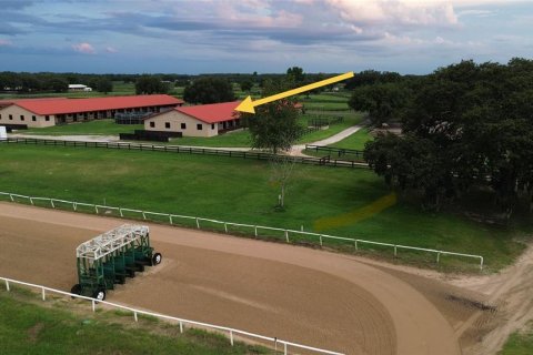 Studio in Morriston, Florida № 1837318 - photo 14