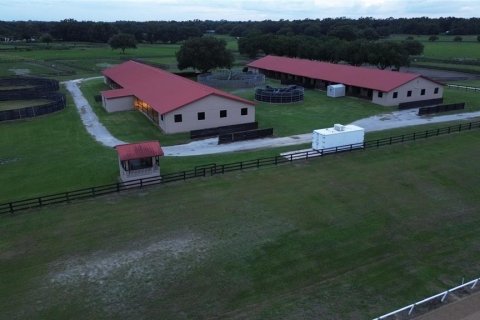 Studio in Morriston, Florida № 1837318 - photo 9