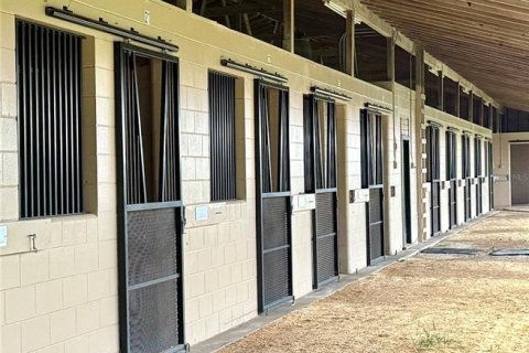 Studio in Morriston, Florida № 1837318 - photo 4