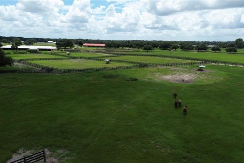 Studio in Morriston, Florida № 1837318 - photo 18