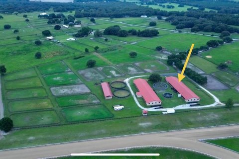 Studio in Morriston, Florida № 1837318 - photo 16