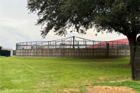 Studio in Morriston, Florida № 1837318 - photo 21