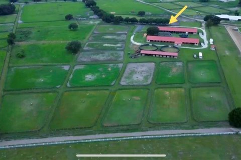 Studio in Morriston, Florida № 1837318 - photo 17