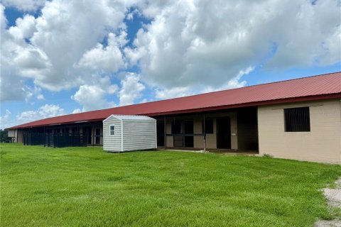 Studio in Morriston, Florida № 1837318 - photo 3