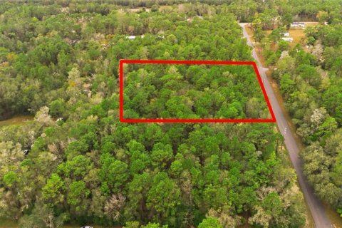 Land in Brooksville, Florida № 2351924