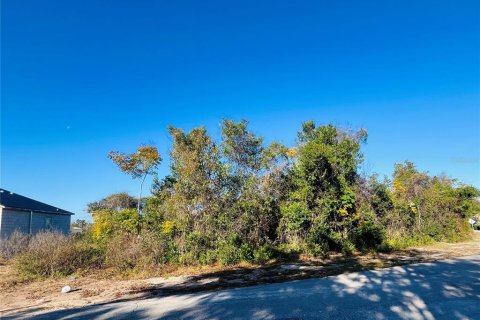 Terrain à Deltona, Floride № 2143180