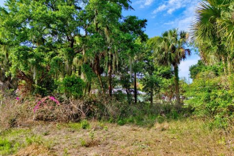 Immobilier commercial à vendre à St. Lucie, Floride № 2241450 - photo 3