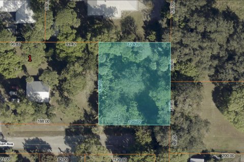 Immobilier commercial à vendre à St. Lucie, Floride № 2241450 - photo 11