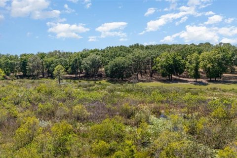 Land in Umatilla, Florida № 1640580 - photo 8