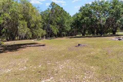 Land in Umatilla, Florida № 1640580 - photo 10