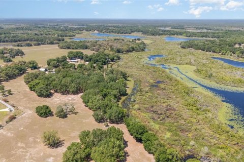 Land in Umatilla, Florida № 1640580 - photo 4