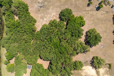 Terreno en venta en Umatilla, Florida № 1640580 - foto 7
