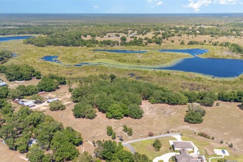 Land in Umatilla, Florida № 1640580 - photo 3