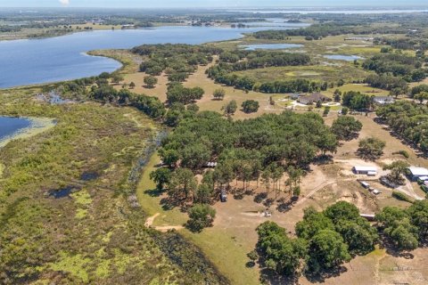 Terreno en venta en Umatilla, Florida № 1640580 - foto 5