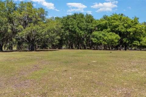 Terreno en venta en Umatilla, Florida № 1640580 - foto 9